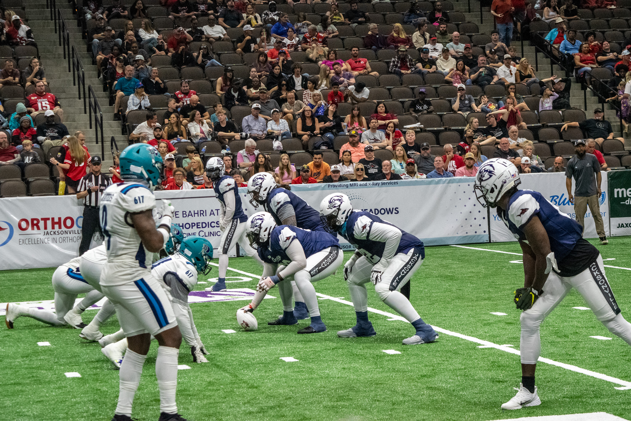 Jax Sharks lined up at the line of scrimmage to run a play