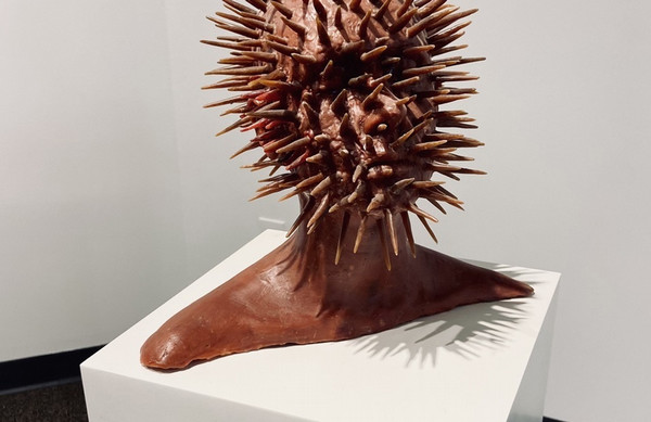 Beneath the Skin, A New Shape Emerges by UNF alum Patricia Muniz Villanueva