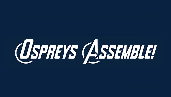 Ospreys Assemble banner