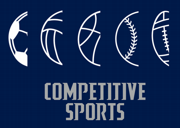 various sports balls and competitive sports