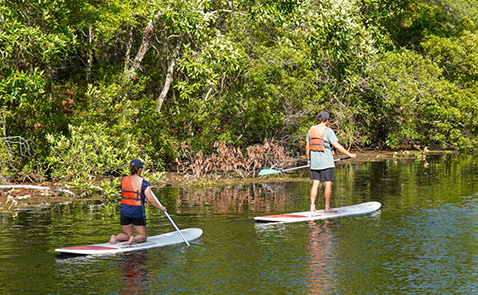 Man and woman paddleboarding on a lake
