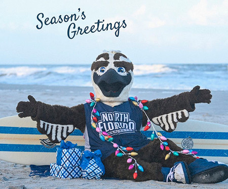 Ozzie the Mascot sitting on the beach with a surfboard and boxes
