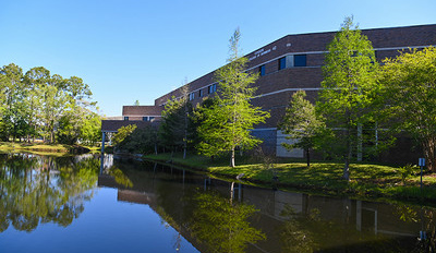 UNF Coggin College of Business building
