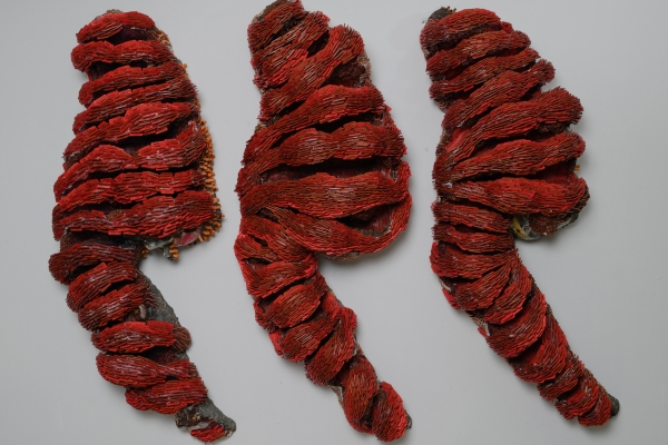 Feeding Frenzy by Whitney Oldenburg