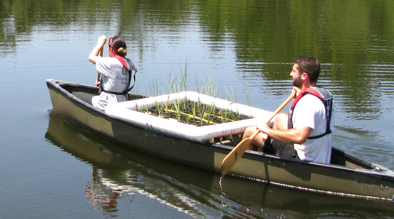 UNF coastal research students paddling down a river