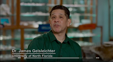 Dr. James Gelsleichter on National Geographic