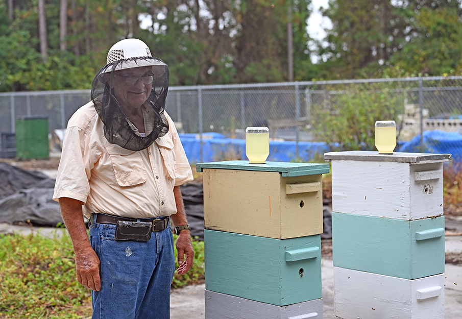 Beekeeper and honey hive