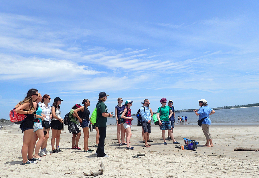 Marine Field Studies Course students at the beach