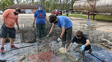 students working to deploy crab traps