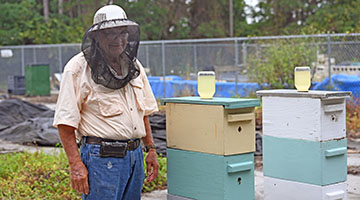 Beekeeper with honey hives