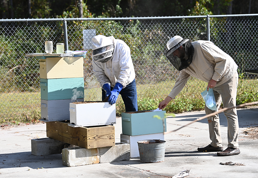 Two beekeepers tending to a hive