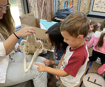 Children investigate dolphin skull