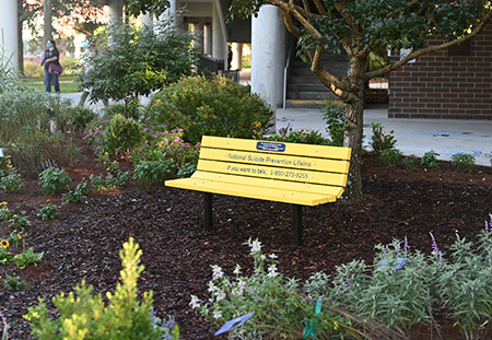Yellow suicide prevention dedication bench in the Healing Garden surrounded by flowers