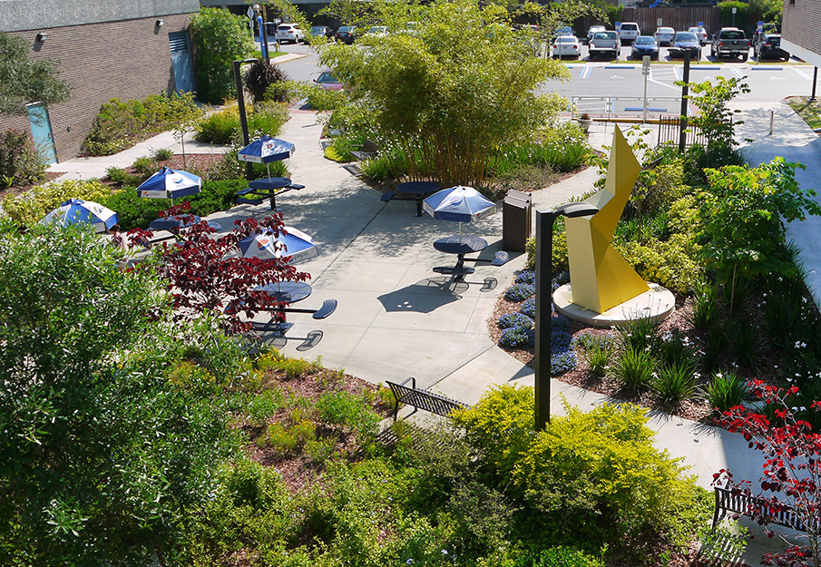 Aerial view of the Pocket Park garden