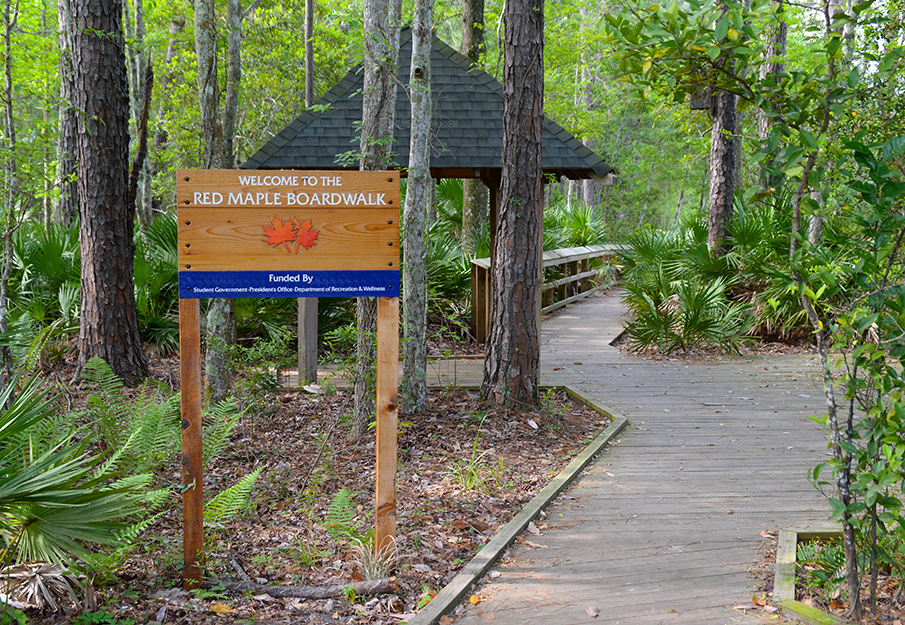Entrance to the UNF hiking trails in front on Red Maple Boardwalk