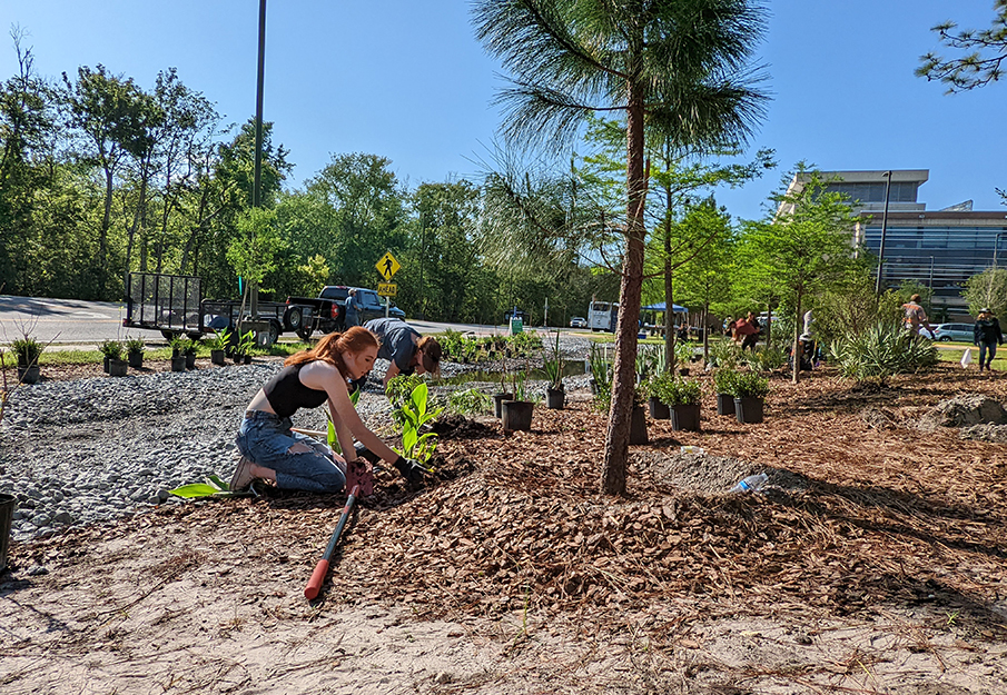 UNF Students Planting Botanical Garden