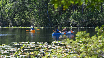 Students rowing in a canoe on the water of the Eco Adventure
