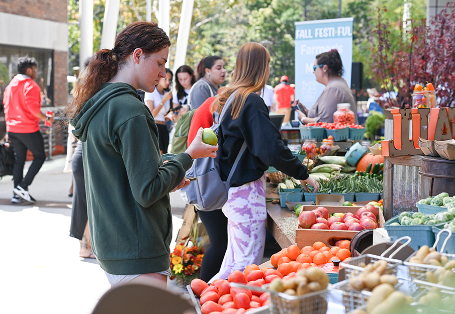 Market Day Vegetables