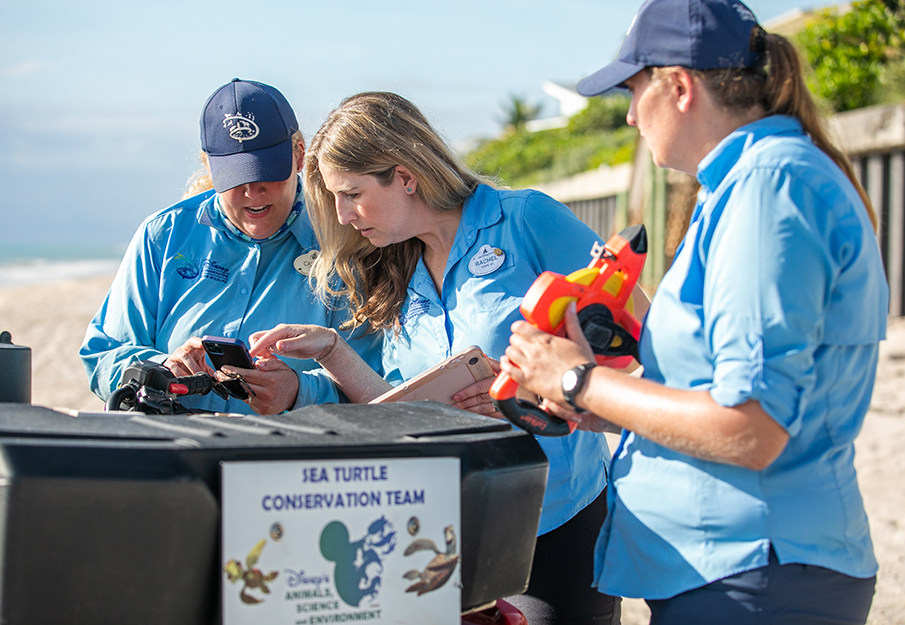 UNF alum Rachel Smith working with two of Disney's Conservation team members