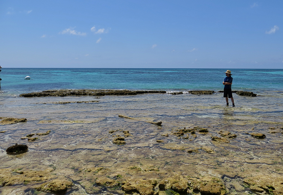 UNF professor Cliff Ross ocean salinity study