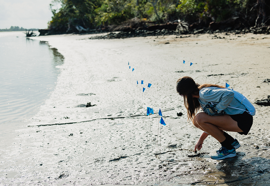 UNF researcher putting blue flag markers along the bank of Pablo Creek