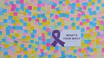 Wall covered in a variety of sticky notes written with participants reason for joining the study