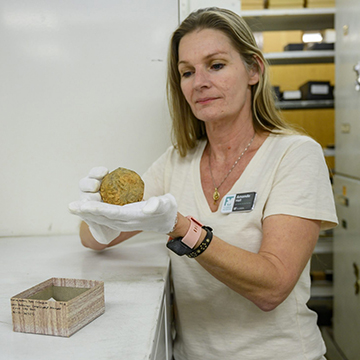 Alumni Dr. Amanda Hall looking at an artifact at the Florida Museum of Natural History
