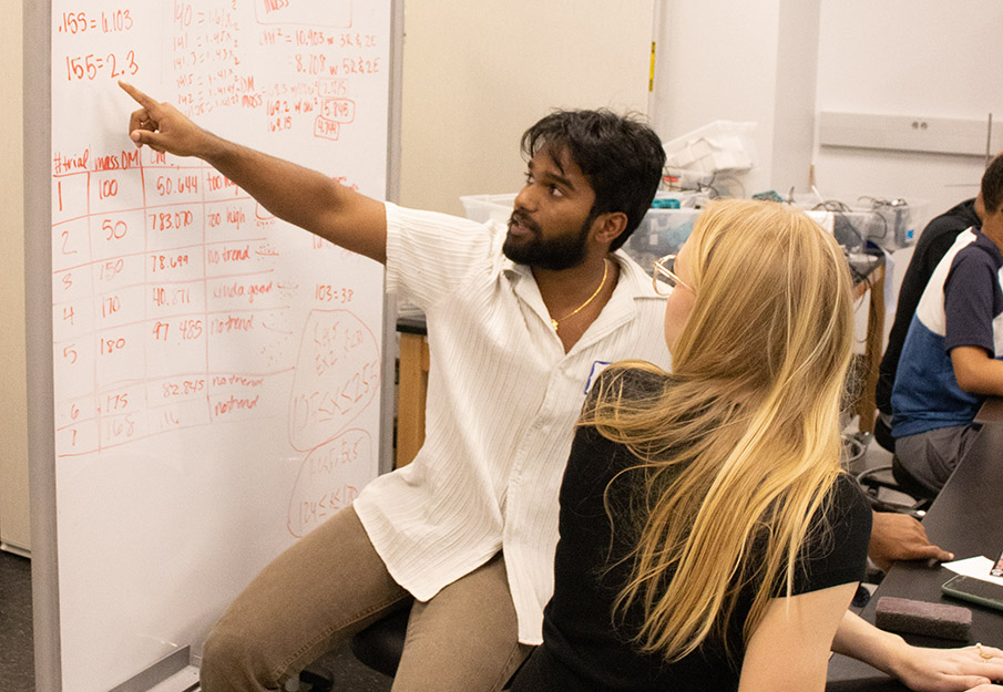 UNF expert explaining to a high school student dark matter data analytics