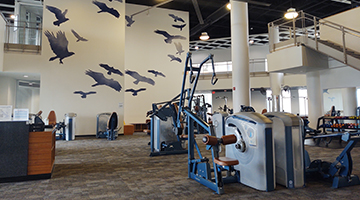 New Osprey mural at the Student Wellness Complex