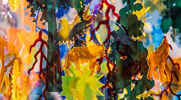 close up of Installation part of The Florida Prize in Contemporary Art 2024, Orlando Museum of Art © Image courtesy of Macbeth Studios