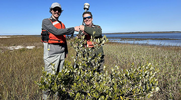 Scott Jones (left) Ches Vervaeke (right) with northernmost mangrove