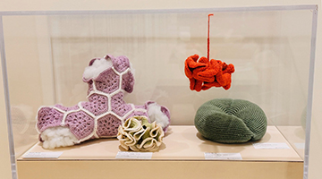 Knitted sealife 
