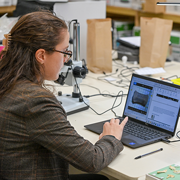 Sarah Boyd looking at the photo of a fossil on her laptop