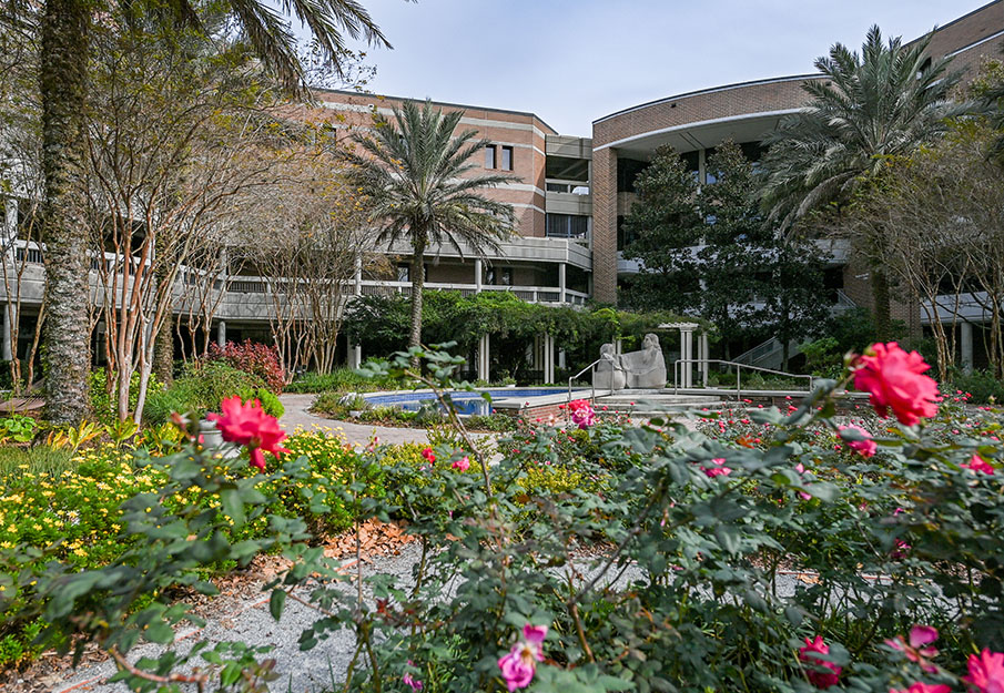 Brooks College of Health building