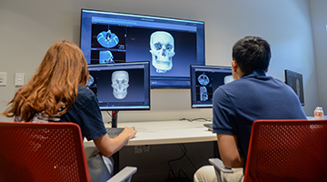 Two UNF students working on a 3D image of a human skull