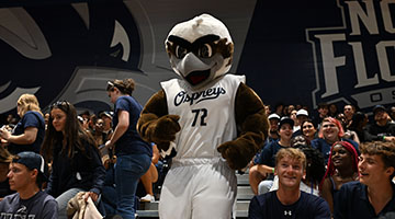 Ozzie running on basketball court