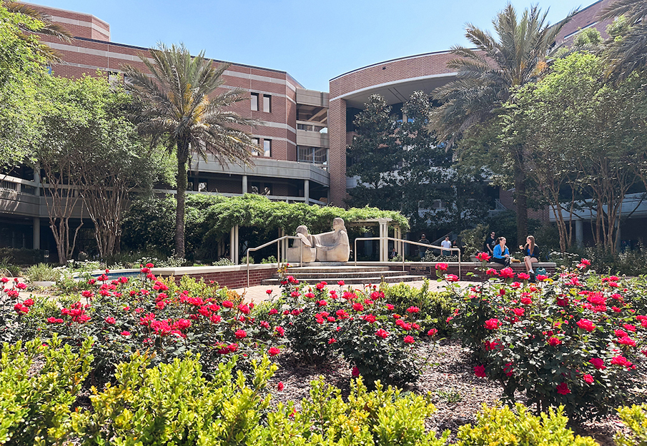 View of Brooks College of Health view from blooming rose garden