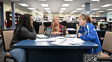 UNF and RCSA educators working together at table