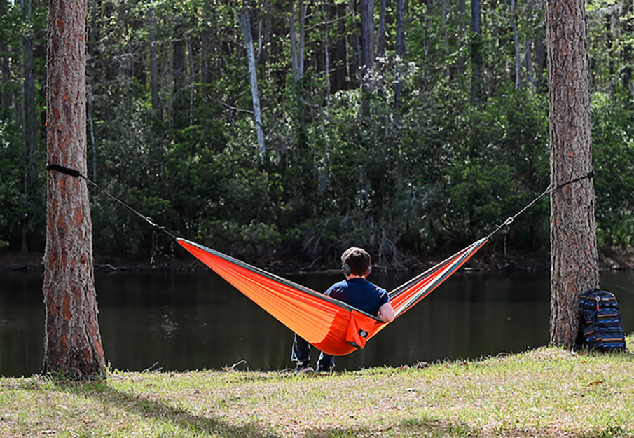 Back of student sitting in hammock overlooking pond