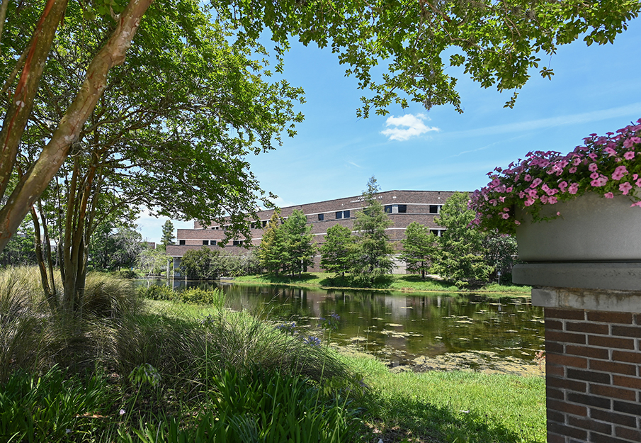 Coggin College of Business outside view