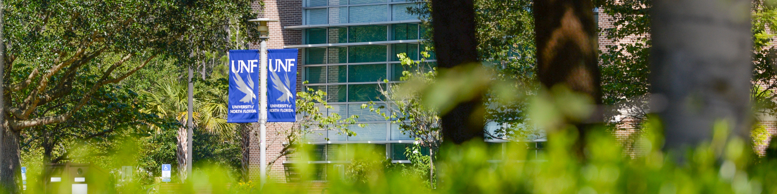 unf banner on poles outside the library