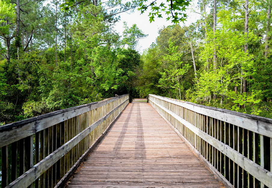 Campus beauty shot of a bridge on the nature trail