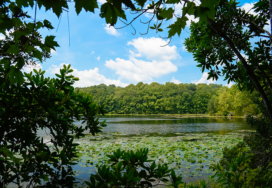 nature trails lake