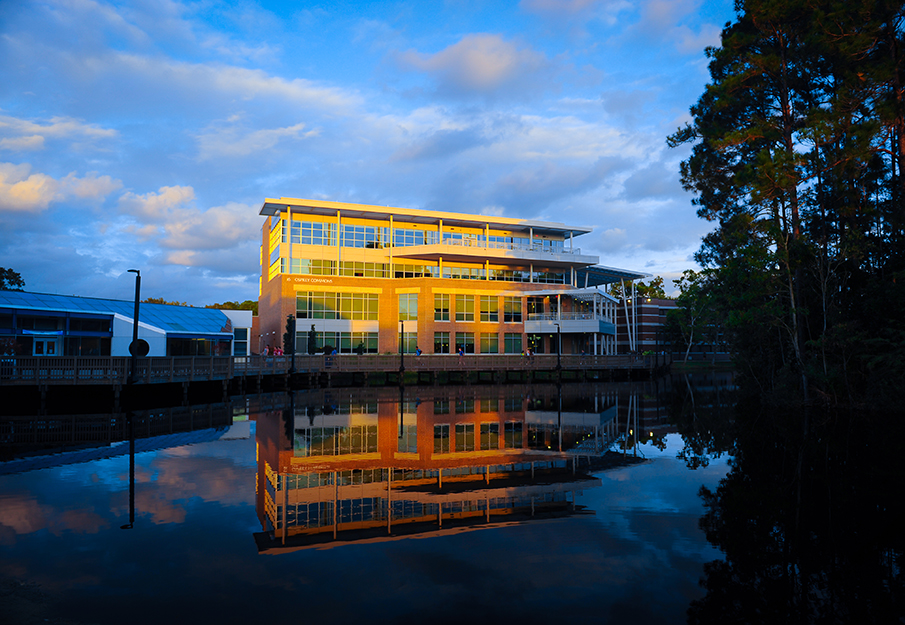 Osprey cafe sunset