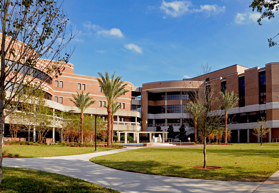 Outside view of the Brook College of Health building on a fall day