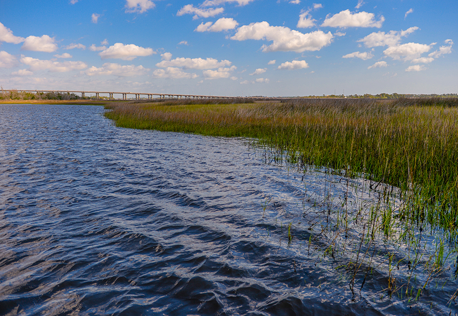 View of the wetlands of the St Johns River