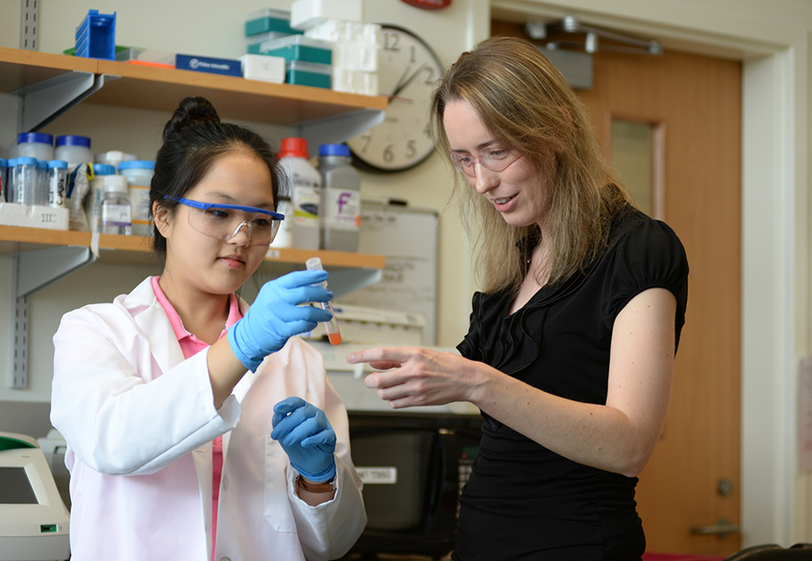 Professor and student conducting research