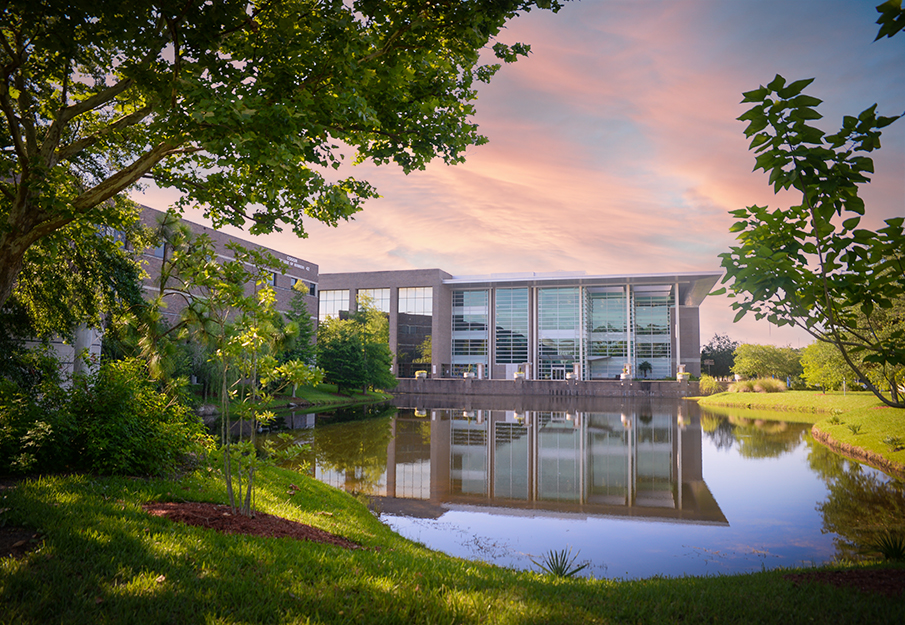 View of the library from across the pond