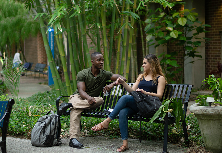 Two students sitting in the bamboo garden chatting