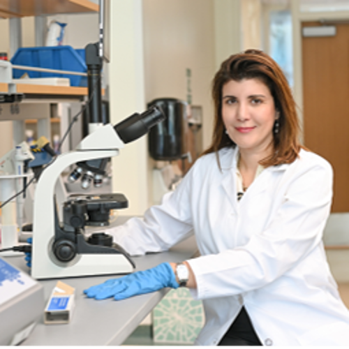 Alya Limayem headshot